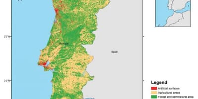 Mapa de Portugal bosques